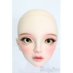 画像: SWITCH/SHIHOヘッド S-25-04-13-216-GN-ZS