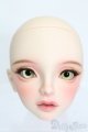 画像: SWITCH/SHIHOヘッド S-25-04-13-216-GN-ZS