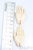 画像2: 2D DOLL/40cmドール関節ハンドパーツ S-25-04-13-207-GN-ZS (2)