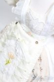 画像4: MDD/OF:衣装セット S-25-04-20-025-GN-ZS (4)