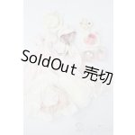 画像: MDD/OF:衣装セット S-25-11-09-535-GN-ZS