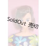 画像: ジェニー/キサラ リカちゃんキャッスル S-25-08-10-374-GN-ZS