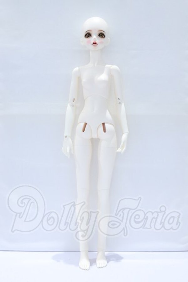 画像6: 【DOLK×Peak’s Woods】FOC Goldie - Iris ver. Limited - Special Reissue S-26-02-15-051-GN-ZS (6)