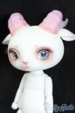 画像2: 【DOLK×DEAR MINE】Fluorite LORENZ bean S-25-04-20-205-GN-ZS (2)