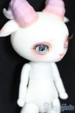 画像3: 【DOLK×DEAR MINE】Fluorite LORENZ bean S-25-04-20-205-GN-ZS (3)