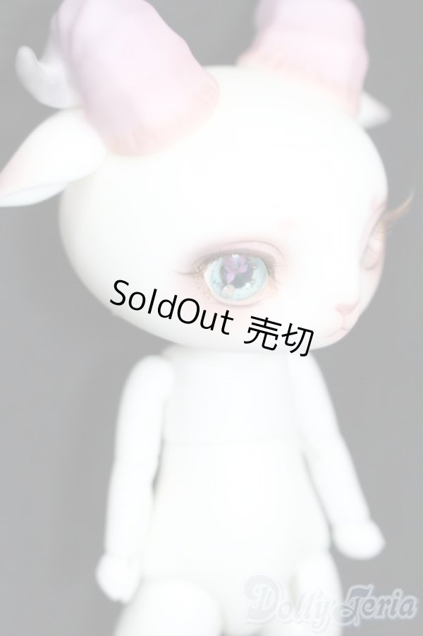 画像3: 【DOLK×DEAR MINE】Fluorite LORENZ bean S-25-04-20-205-GN-ZS (3)