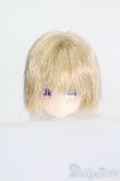 画像1: azone/ピコニーモSヘッド カスタム S-25-04-20-291-GN-ZS (1)
