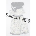 画像: 乙姫ドール/OF:衣装 S-25-11-02-452-GN-ZS