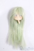 画像1: azone/ピコニーモSヘッド カスタム S-25-04-20-282-GN-ZS (1)