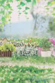 画像2: 1/6ドールサイズ/背景布 S-25-04-27-050-GN-ZS (2)