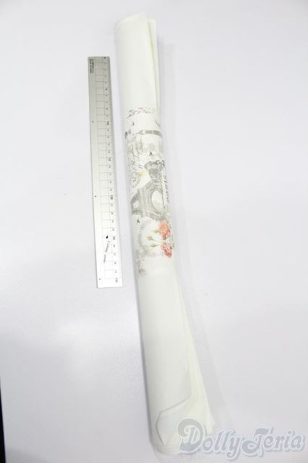 画像5: 1/6ドールサイズ/背景布 S-25-04-27-050-GN-ZS (5)