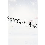 画像: 1/6ドールサイズ/背景布 S-25-10-26-494-GN-ZS