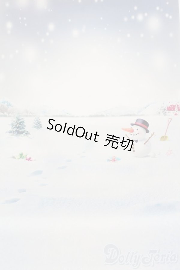 画像1: 1/6ドールサイズ/背景布 S-25-10-26-494-GN-ZS (1)