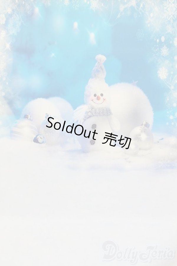 画像2: 1/6ドールサイズ/背景布 S-25-10-26-494-GN-ZS (2)