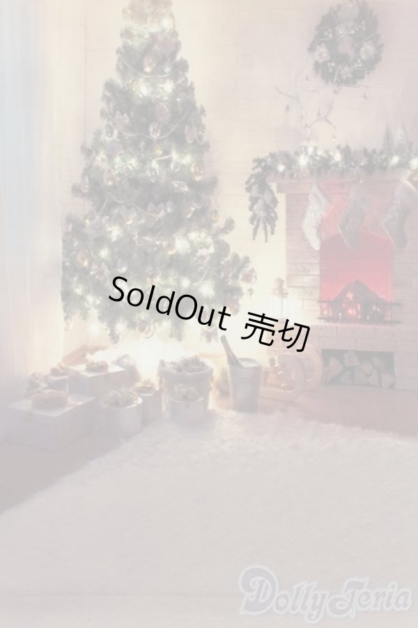 画像3: 1/6ドールサイズ/背景布 S-25-10-26-494-GN-ZS (3)