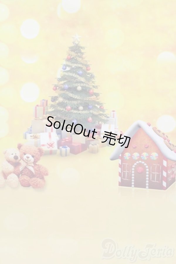 画像4: 1/6ドールサイズ/背景布 S-25-10-26-494-GN-ZS (4)