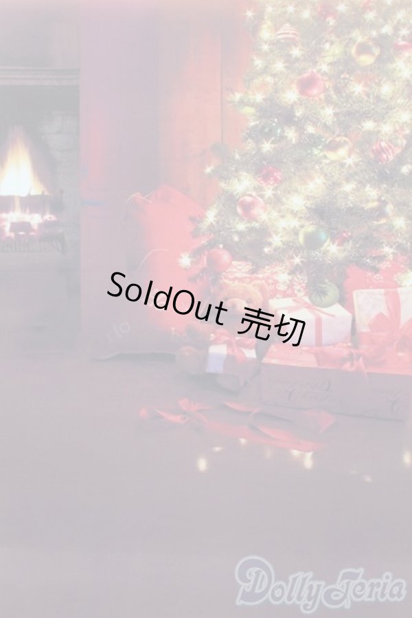 画像5: 1/6ドールサイズ/背景布 S-25-10-26-494-GN-ZS (5)