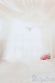 画像5: 1/6ドールサイズ/背景布 S-25-04-27-051-GN-ZS (5)