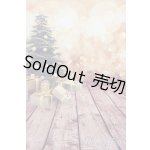 画像: 1/6ドールサイズ/背景布 S-25-07-06-887-GN-ZS
