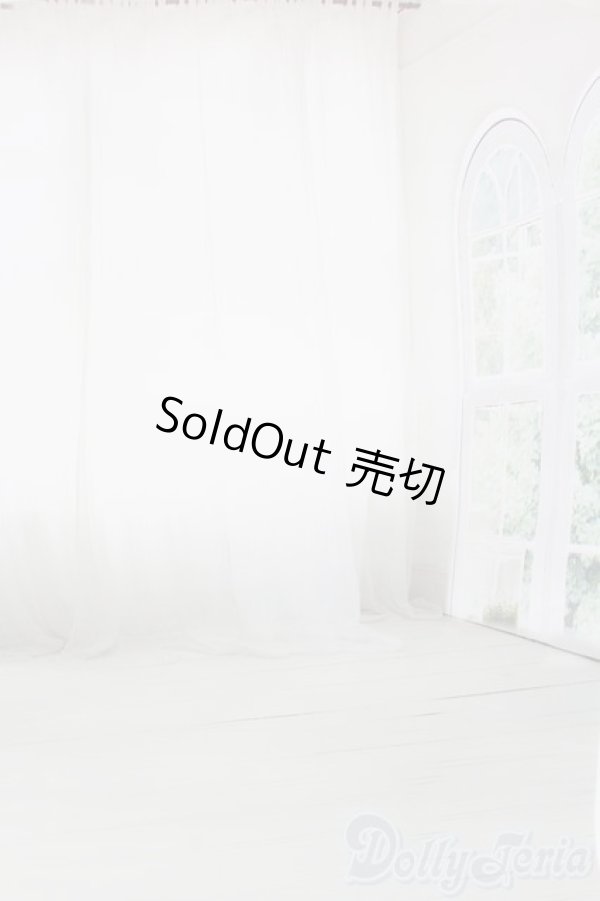 画像2: 1/12ドールサイズ/背景布 S-25-10-26-495-GN-ZS (2)