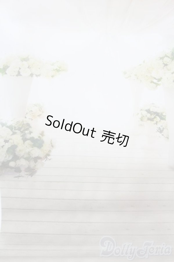 画像3: 1/12ドールサイズ/背景布 S-25-10-26-495-GN-ZS (3)