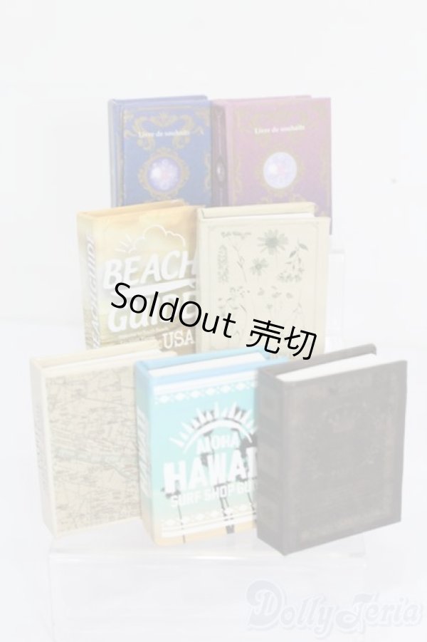 画像1: 1/6サイズドール/ミニチュア S-25-11-09-643-GN-ZS (1)