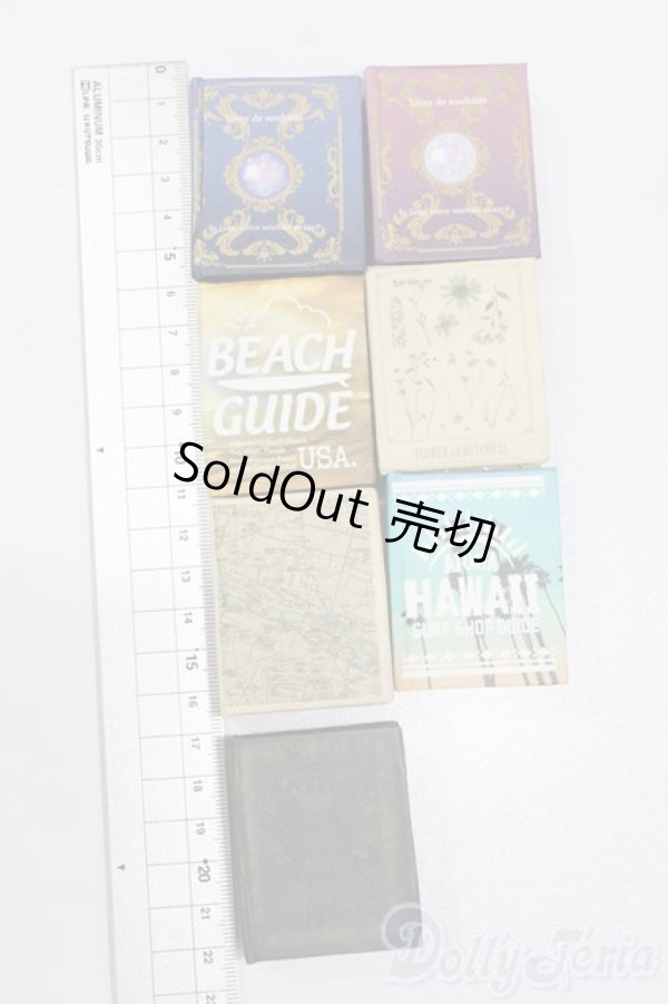 画像2: 1/6サイズドール/ミニチュア S-25-11-09-643-GN-ZS (2)