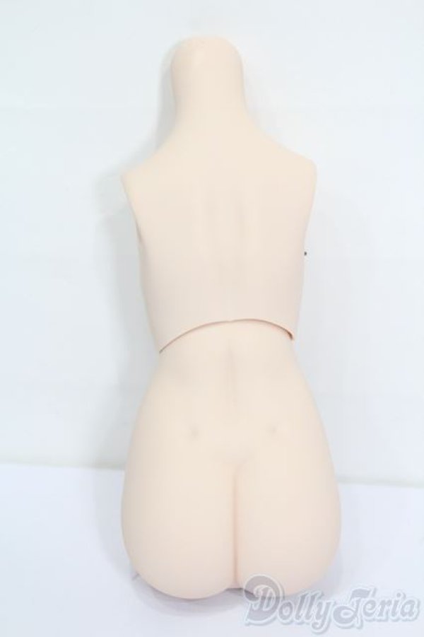 画像2: MDD/上半身・下半身パーツ S-25-04-27-143-GN-ZS (2)