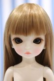 画像1: 【新宿マルイアネックス店 店頭販売商品】Lina chouchou/Petit chou:Laila 2100150000010643-ZM (1)