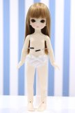 画像2: 【新宿マルイアネックス店 店頭販売商品】Lina chouchou/Petit chou:Laila 2100150000010643-ZM (2)