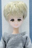 画像1: 【新宿マルイアネックス店 店頭販売商品】ジェニー/シオンヘッドカスタム＋ピュアニーモ男子ボディ 2100150000010691-ZM (1)
