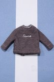 画像1: 【新宿マルイアネックス店 店頭販売商品】リカちゃん/OF:衣装 2100150000010714-ZM (1)