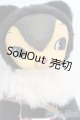 画像: トイズフィールド/KUMA ショコラブラック S-25-06-29-729-GN-ZS