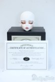 画像5: little monica/Enrill:Symphony(Head) Y-25-04-30-076-NY-ZY (5)