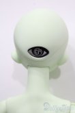 画像4: Gem Of Doll/Verla S-25-04-27-215-GN-ZS (4)