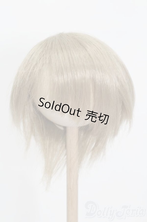 画像1: 8-9inch/ウィッグ S-25-12-14-316-GN-ZS (1)