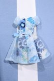 画像2: 【新宿マルイアネックス店 店頭販売商品】ジェニー/OF:リトルファクトリー製衣装 2100150000011029-ZM (2)