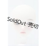 画像: XAGADOLL/Aqua Human Ver. S-26-01-04-419-GN-ZS