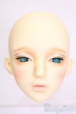 画像1: RSDOLL/EVAN.R HEAD+ボディ S-25-05-11-001-GN-ZS (1)
