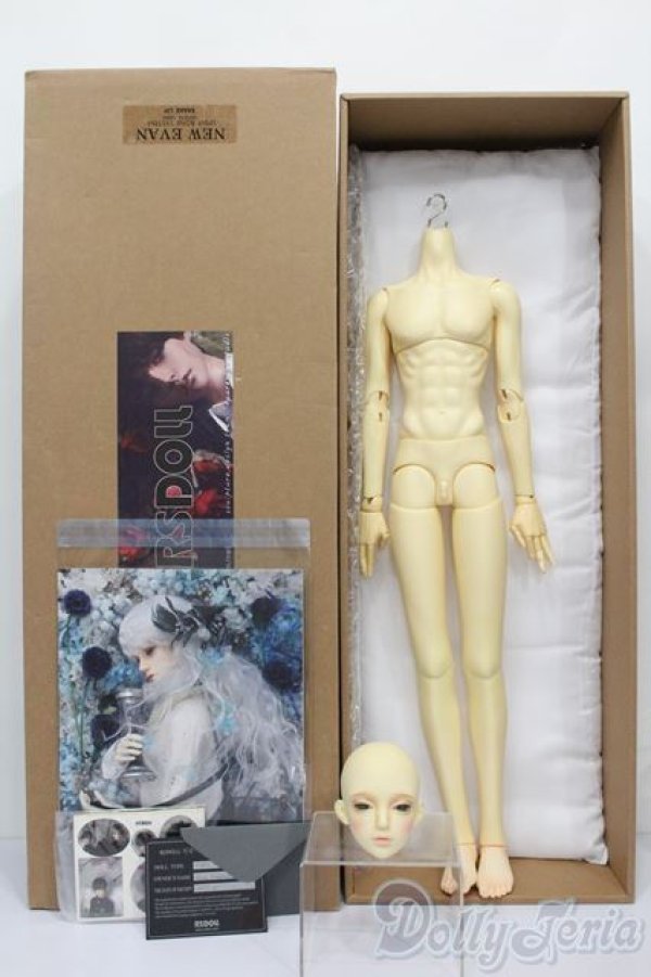 画像7: RSDOLL/EVAN.R HEAD+ボディ S-25-11-02-495-GN-ZS (7)