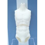 画像: 【新宿マルイアネックス店 店頭販売商品】DD・DDSB/Fioristaflowers様製筋肉ボディ 2100150000011170-ZM