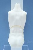 画像2: 【新宿マルイアネックス店 店頭販売商品】DD・DDSB/Fioristaflowers様製筋肉ボディ 2100150000011170-ZM (2)