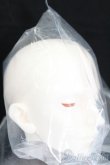 画像3: SWITCH/RYUZO:Persona S-25-05-11-013-GN-ZS (3)