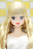 画像1: 【新宿マルイアネックス店 店頭販売商品】ジェニー/ロベリア 2100150000011446-ZM (1)
