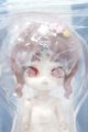画像: 【新宿マルイアネックス店 店頭販売商品】MINTY(ミンティ)/ファンタジーの森:スス 2100150000011464-ZM