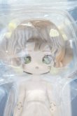 画像1: 【新宿マルイアネックス店 店頭販売商品】MINTY(ミンティ)/ファンタジーの森:りゅうしん 2100150000011465-ZM (1)