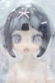 画像1: 【新宿マルイアネックス店 店頭販売商品】自由主張スタジオ/WELCOME GIRLS：デジタルペットの仮想世界 2100150000011485-ZM (1)
