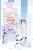 画像2: 【新宿マルイアネックス店 店頭販売商品】自由主張スタジオ/WELCOME GIRLS：デジタルペットの仮想世界 2100150000011485-ZM (2)