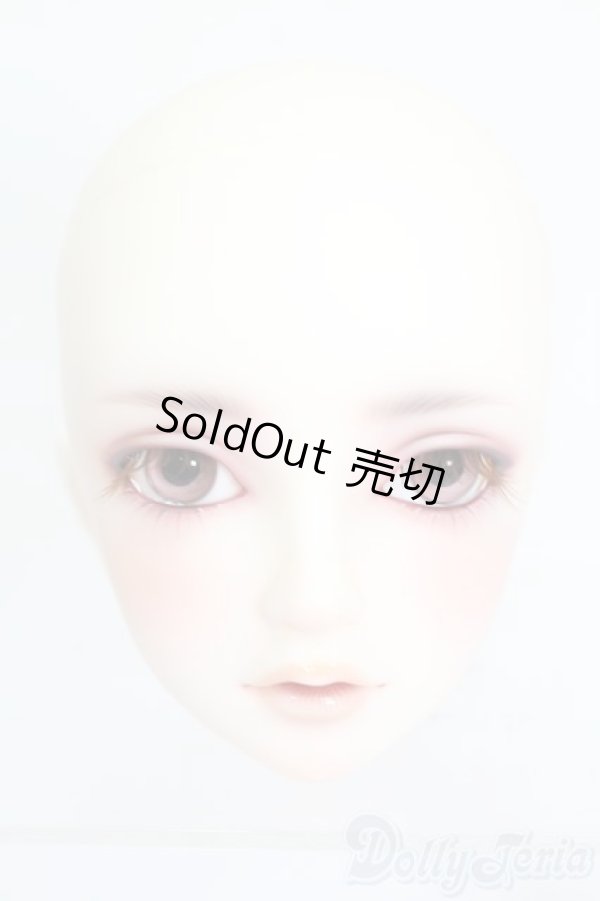 画像1: SD/ワンオフ F-87:つきみ様メイク ヘッド S-25-08-17-341-GN-ZS (1)