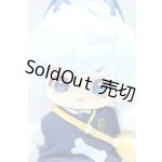 画像: HANI(ハニー)/甘い夢境:プリン柴犬 S-25-10-05-047-GN-ZS